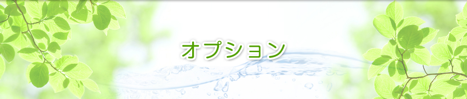 オプション